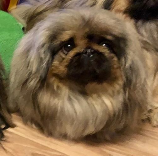 Прикрепленное изображение: к232.jpg